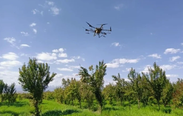 無人機助力山區產業增效、果農增收(圖1)