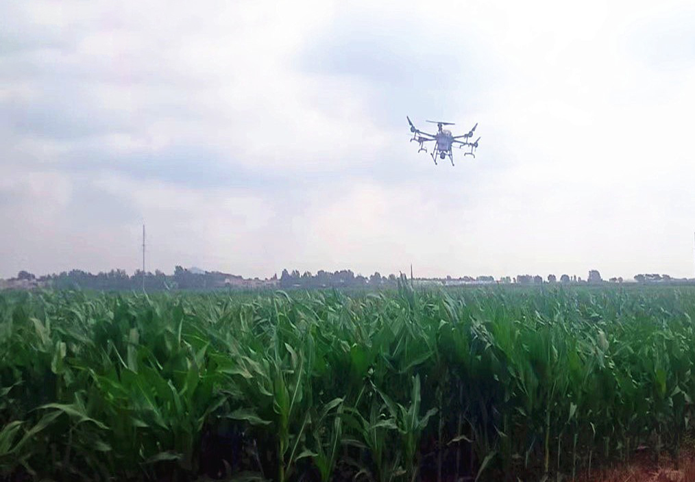 無(wú)人機(jī)助力玉米病蟲害防治噴灑工作(圖1)